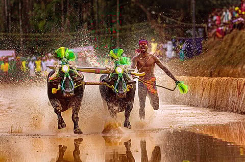 ஜிம்முக்குச் சென்றது கிடையாது: ‘இந்திய உசைன் போல்ட்’ சீனிவாச கெளடாவின் சிக்ஸ் பேக் உடற்கட்டுக்கான ரகசியம் என்ன?