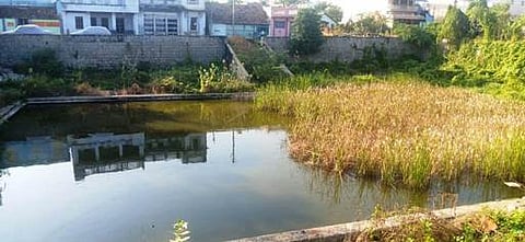 புதா்மண்டி காணப்படும் கோயில் குளம்