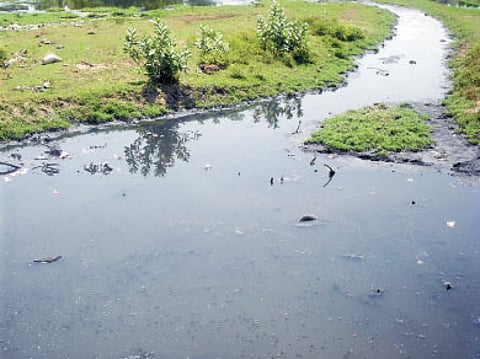 கோப்புப் படம்