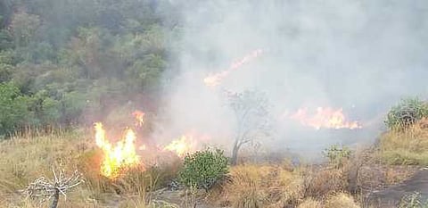 தக்கலை உதயகிரி கோட்டைவனப் பகுதியில் காட்டுத்தீ