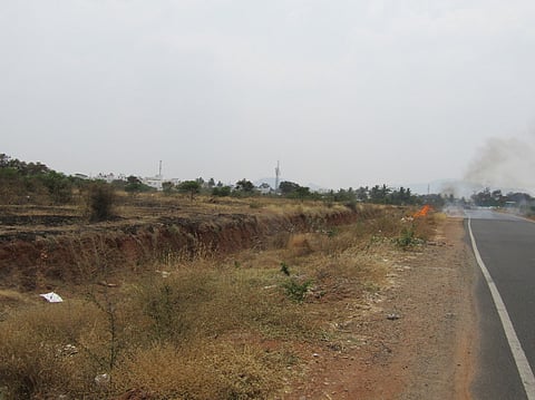 சாலையோரம் எரிக்கப்படும் குப்பையால் கருகும் மரக் கன்றுகள்.