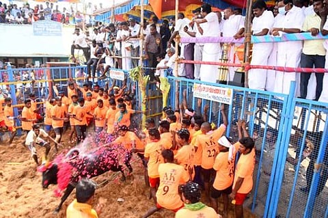 mnp27jalli_2702chn_31_4