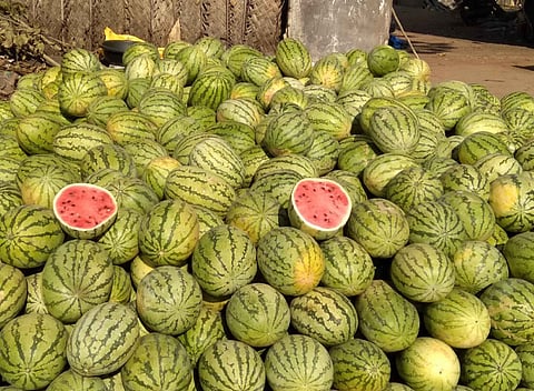 கோப்புப் படம்