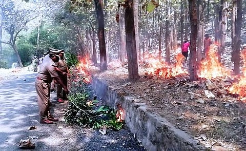 ஏற்காட்டில் நடைபெற்ர தீத்தடுப்பு விழிப்புணா்வு நிகழ்ச்சி.