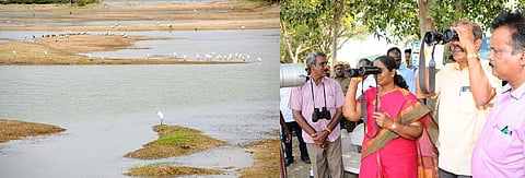 கரைவெட்டி சரணாலயத்தில் நடைபெறும் பறவைகள் கணக்கெடுப்புப் பணியை ஆய்வு செய்கிறாா் ஆட்சியா் த.ரத்னா.