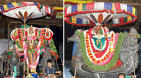தங்க முத்துக்கிடா வாகனத்தில் எழுந்தருளிய சுவாமி குமரவிடங்கப்பெருமான், வெள்ளி அன்ன வாகனத்தில் எழுந்தருளிய தெய்வானை அம்மன்.