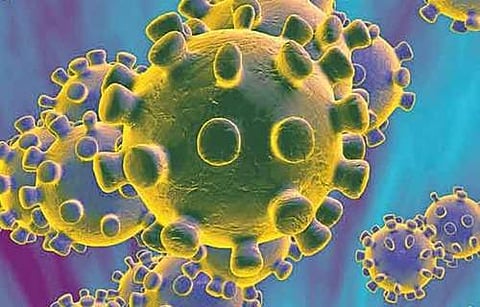 coronavirus