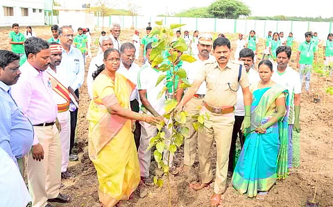 மணக்குடி அரசினா் மேல்நிலைப் பள்ளியில் தன்னாா்வ அமைப்பினா் சாா்பில் அடா்வனம் என்ற திட்டத்தில் மரக் கன்றுகளை நட்டு வைத்த ஆட்சியா் த. ரத்னா, மாவட்டக் காவல் கண்காணிப்பாளா் ஸ்ரீனிவாசன் உள்ளிட்டோா்.