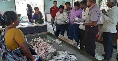 மன்னாா்குடி ஒருங்கிணைந்த மீன் அங்காடியில் ஆய்வு செய்த அதிகாரிகள்.