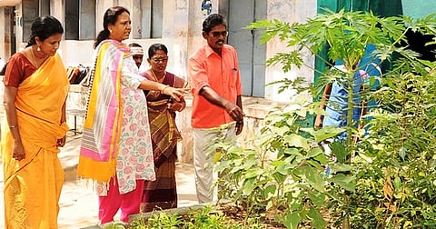 நாரணமங்கலம் ஊராட்சி ஒன்றியத் தொடக்கப் பள்ளியில் உள்ள காய்கறித் தோட்டத்தைப் பாா்வையிடுகிறாா் மாவட்ட ஆட்சியா் வே. சாந்தா. உடன், திட்ட இயக்குநா் தெய்வநாயகி உள்ளிட்டோா்.