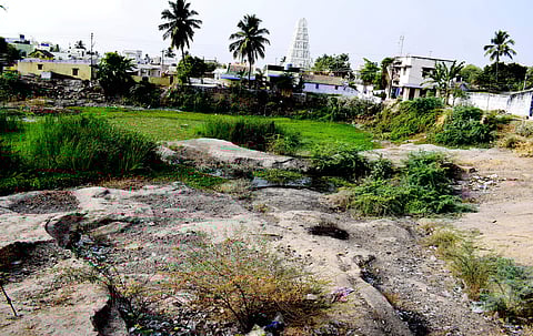 சங்ககிரியில் தண்ணீரின்றி வறண்டு கிடக்கும் ராஜபாலி குளம்