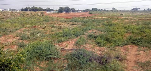 ஆண்டிபட்டி அருகே நீா்வரத்து இன்றி வறண்டு காணப்படும் ஜம்புலிபுத்தூா் கண்மாய்.