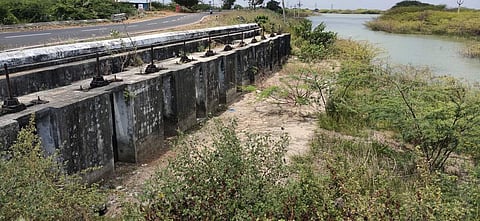 சுருங்கி உப்புக் கரிக்கும் ராமநாதபுரம் சக்கரைக்கோட்டை கண்மாய்