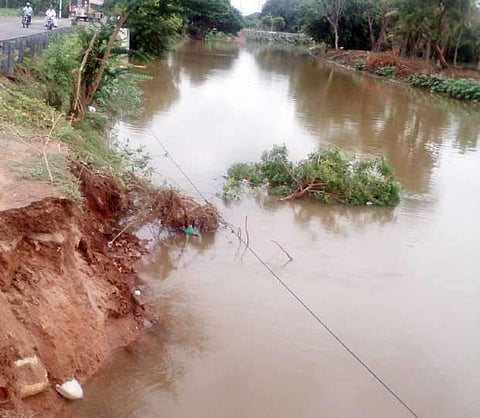 கரைகளைத் தேடும் காவிரி பாசனக் கால்வாய்கள்