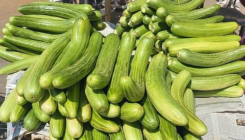 தம்மம்பட்டியில் விற்பனையாகும் வெள்ளரிக்காய்கள்.