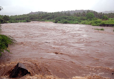 மேகமலையில் குறையும் மழை வளம்-மூல வைகையில் வறட்சி: 5 மாவட்டங்களின் நீராதாரம் பாதிக்கப்படும் அபாயம்