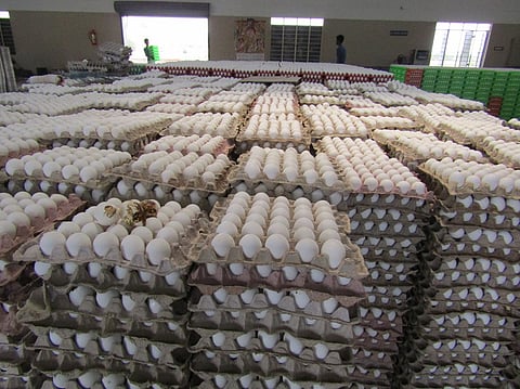 முட்டை விலை 5 காசுகள் உயா்ந்து ரூ.5.85 ஆக நிா்ணயம்