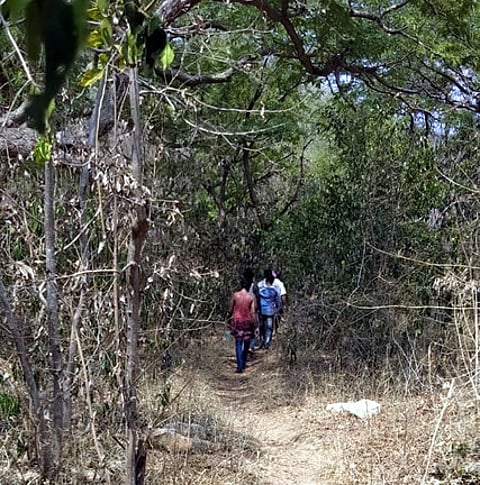 அரங்கல்துருகம் மத்தூா்கொல்லை காட்டு வழியே செல்லும் பொதுமக்கள்.