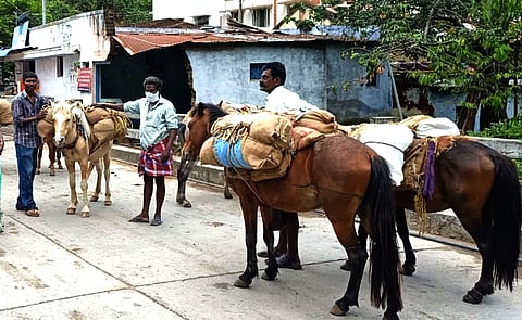 போடி குரங்கணி பகுதியிலிருந்து திங்கள்கிழமை டாப் ஸ்டேஷன் மலை கிராமத்திற்கு குதிரைகள் மூலம் கொண்டு செல்லப்பட்ட நிவாரணப் பொருள்கள்.