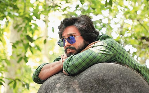 நான் ஒரு யானைப்பாகன்!