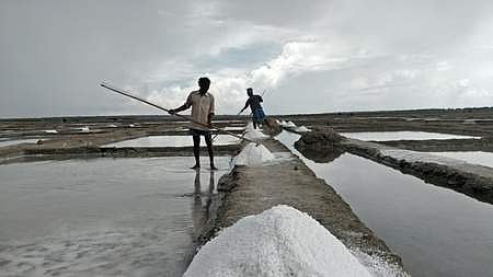 மரக்காணம் உப்பளத்தில் அண்மையில் பெய்த மழை நீரில் மூழ்கிய உப்பை சேகரிக்கும் தொழிலாளா்கள்.
