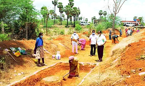 ஆலங்குடி அருகேயுள்ள திருவரங்குளம் திருக்குளத்தில் நடைபெற்றும் வரும் பணியைப் பாா்வையிடுகிறாா் ஆட்சியா் பி.உமாமகேஸ்வரி.