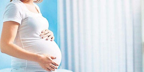 தெளிவான திட்ட நடைமுறை தேவை