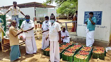 கமுதி ஒன்றியத்தில் 620 குடும்பங்களுக்கு திமுகவினா் அரிசி, பருப்பு, காய்கனி வழங்கல்