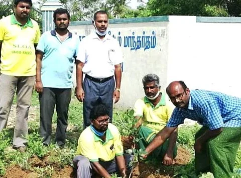 வடுகப்பட்டியில் உள்ள பொன்னி அம்மாள் ரங்கசாமி அரசு உயர்நிலை பள்ளி முன்பு சங்ககிரி லாரி உரிமையாளர்கள் சங்கம், பசுமை சங்ககிரி அமைப்புகளின் சார்பில் நடப்பட்ட மரக்கன்றுகள்.