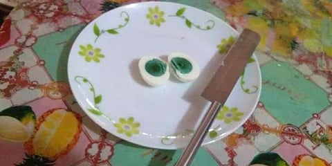 மஞ்சளுக்கு பதில் பச்சைக் கருவுடன் கோழி முட்டை: விஞ்ஞானிகள் ஆராய்ச்சி