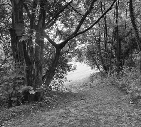 இணைய வழி கட்டுரைப் போட்டி!