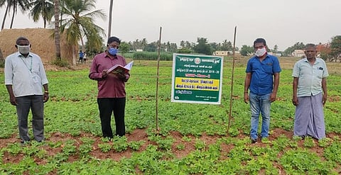 நிலக்கடலை வயலில் ஆய்வு செய்யும் ஈரோடு மாவட்ட வேளாண்மை துணை இயக்குநா் ஆா்.அசோக்குமாா், அலுவலா்கள்.