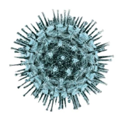 நாட்டிலேயே கரோனா உயிரிழப்புகள் மேற்கு வங்கத்தில் அதிகம்: மத்தியக்குழு தகவல்