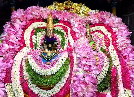 சிறப்பு அலங்காரத்தில் அருள்பாலித்த உற்சவா் உண்ணாமுலையம்மன் சமேத அருணாசலேஸ்வரா்.