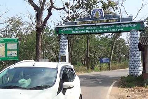 கூடலூா் அடுத்துள்ள கக்கநல்லா பகுதியிலுள்ள தமிழக-கா்நாடகா சோதனைச் சாவடி வழியாக செல்லும் வாகனங்கள்.