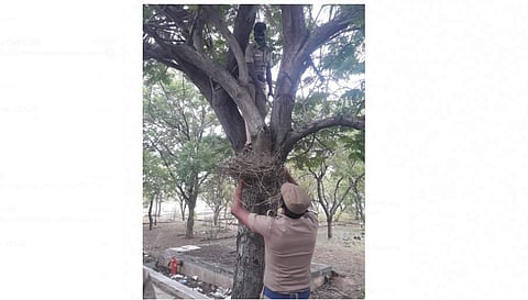 மரிக்காத மனிதநேயம்... தவறி விழுந்த காக்கைக் குஞ்சை காத்த காவலர்கள்!