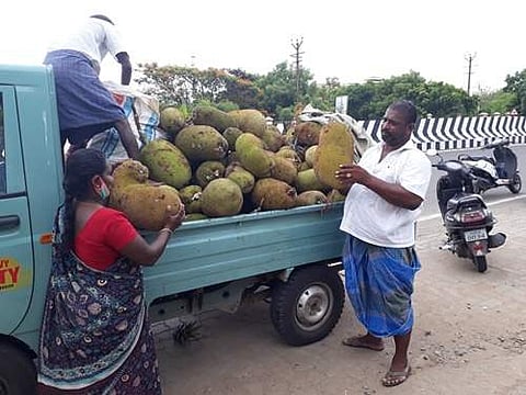 நாமக்கல் ஆட்சியர் அலுவலகம் எதிரில் விற்பனைக்காக வாகனத்தில் குவித்து வைக்கப்பட்டுள்ள கொல்லிமலை பலாப்பழங்கள்.