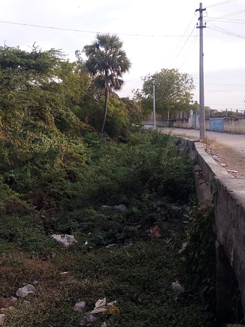 அருப்புக்கோட்டையில் உள்ள செவல் கண்மாய்க்குச் செல்லும் மழைநீா் ஓடையில் மண்டிக் கிடக்கும் புதா்கள், மக்காத குப்பைகள்.