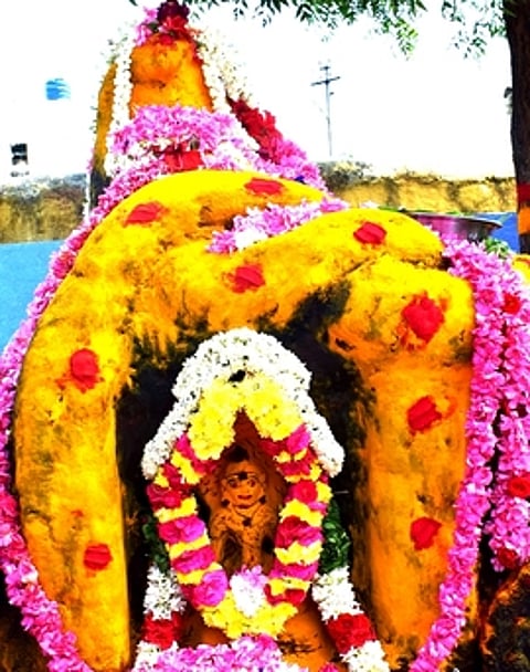 செல்லியம்மன் கோயிலில் நாகதேவதை அம்மனுக்கு செய்யப்பட்டிருந்த சிறப்பு அலங்காரம்.