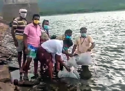 மீன் குஞ்சுகளை அணை நீரில் விடும் மீன் வளத் துறையினா், மீனவா்கள்.