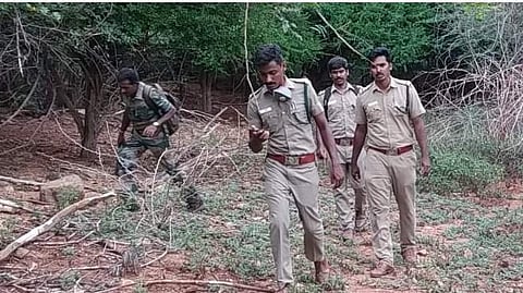 சிறுமுகை வனப்பகுதியில் ரோந்து பணி