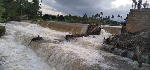கம்பம் பள்ளத்தாக்கு நெல் சாகுபடிக்கு பெரியாறு அணையில் திறப்பு