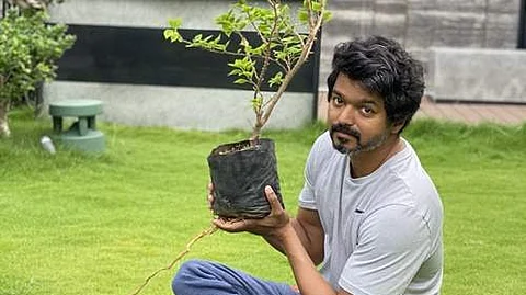 actor Vijay