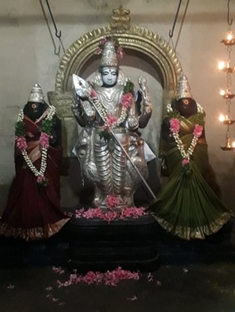 சிறப்பு அலங்காரத்தில் ஆலங்குடி குருபரிகார கோயிலிலுள்ள வள்ளி, தெய்வானை சமேத சுப்பிரமணியா்.