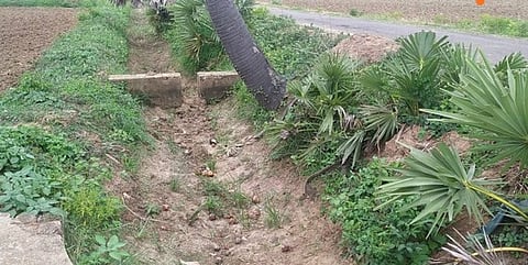 வல்லம் பகுதியில் வறண்டு கிடக்கும் பாசனக் கால்வாய்.