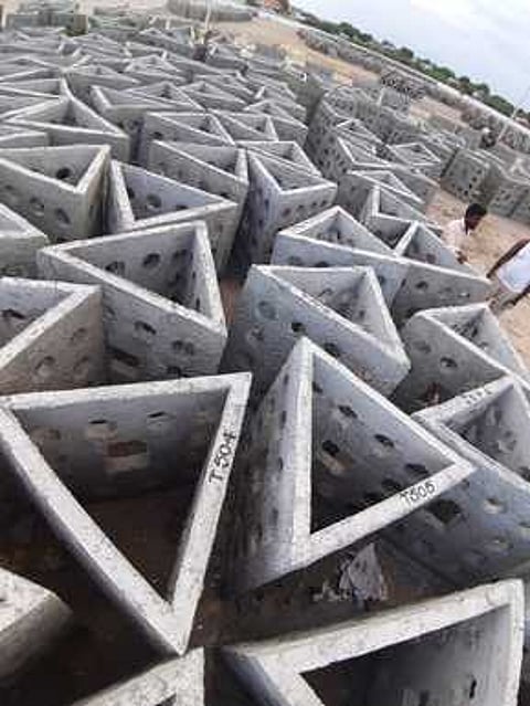 ராமநாதபுரம் கடல் பகுதியில் அரிய உயிரினங்களை காக்க ரூ.3 கோடியில் செயற்கை பவளப்பாறைகள்