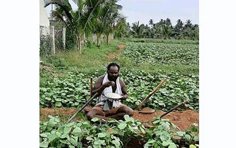 வயலுக்கு நடுவே உணவு உண்ணும் உழவன் இரா.முருகன்.