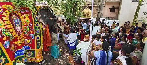 மாயூரநாதா் கோயில் யானை அபயாம்பிகைக்கு நடைபெற்ற சிறப்பு வழிபாடு.