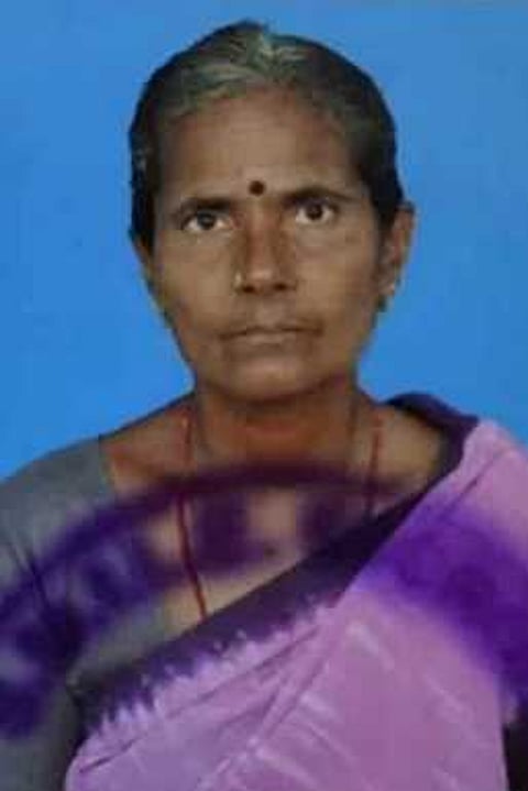 மலா்க்கொடி.