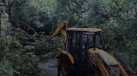 வளா்ச்சிப் பணிகளுக்காக 10 ஆண்டுகளில் 1,700 சதுர கி.மீ. வனப்பரப்பு இழப்பு